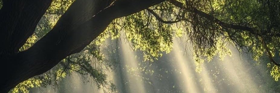 R banner