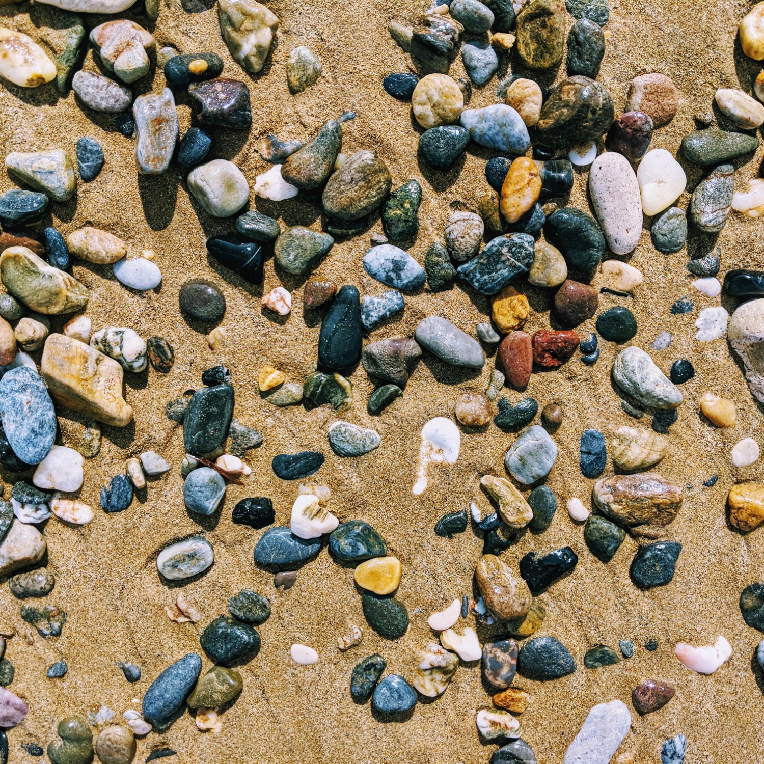 Stephan Rinke banner