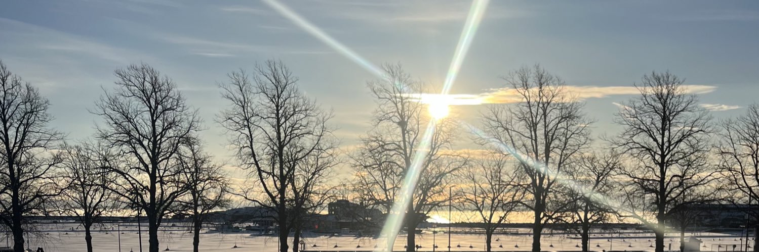 Viivi Pitkanen banner