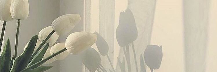 mkke255's profile banner image