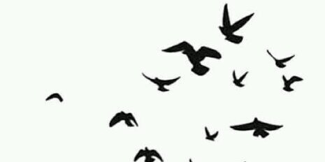 shahd1990a's profile banner image