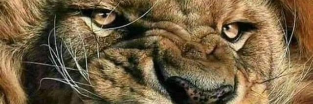 NABILALIG11's profile banner image