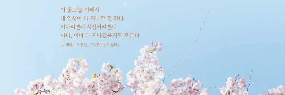 hipvil's profile banner image