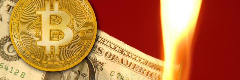 CryptoHioga's profile banner image