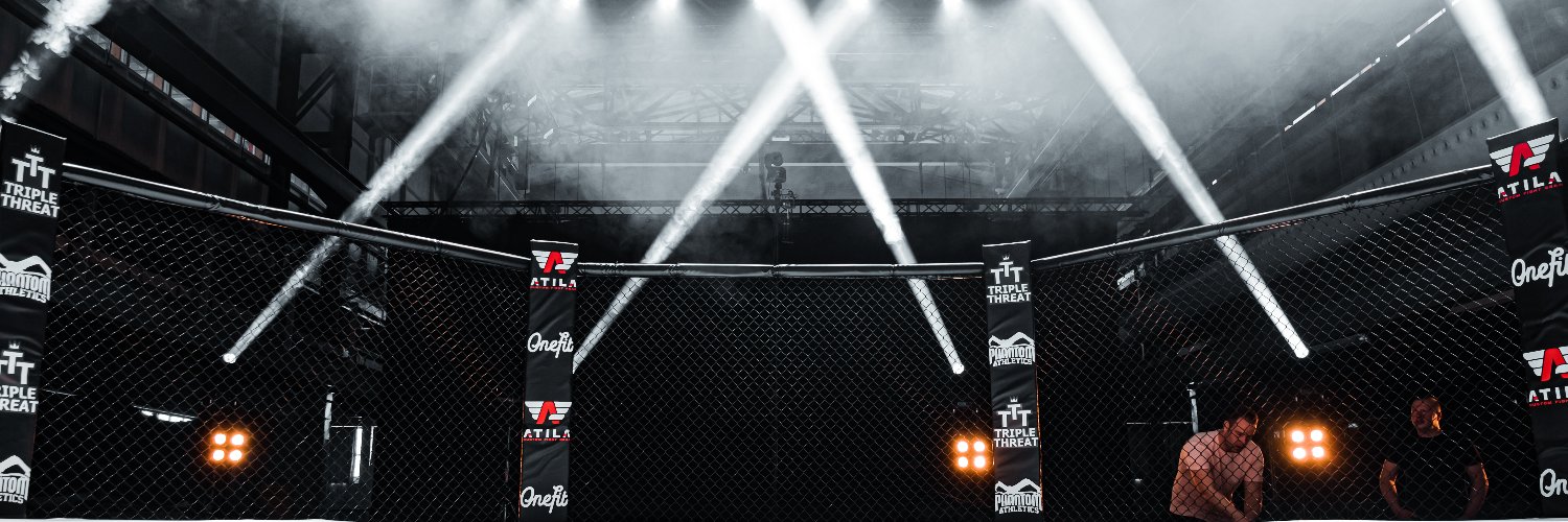 Levels Fight League banner