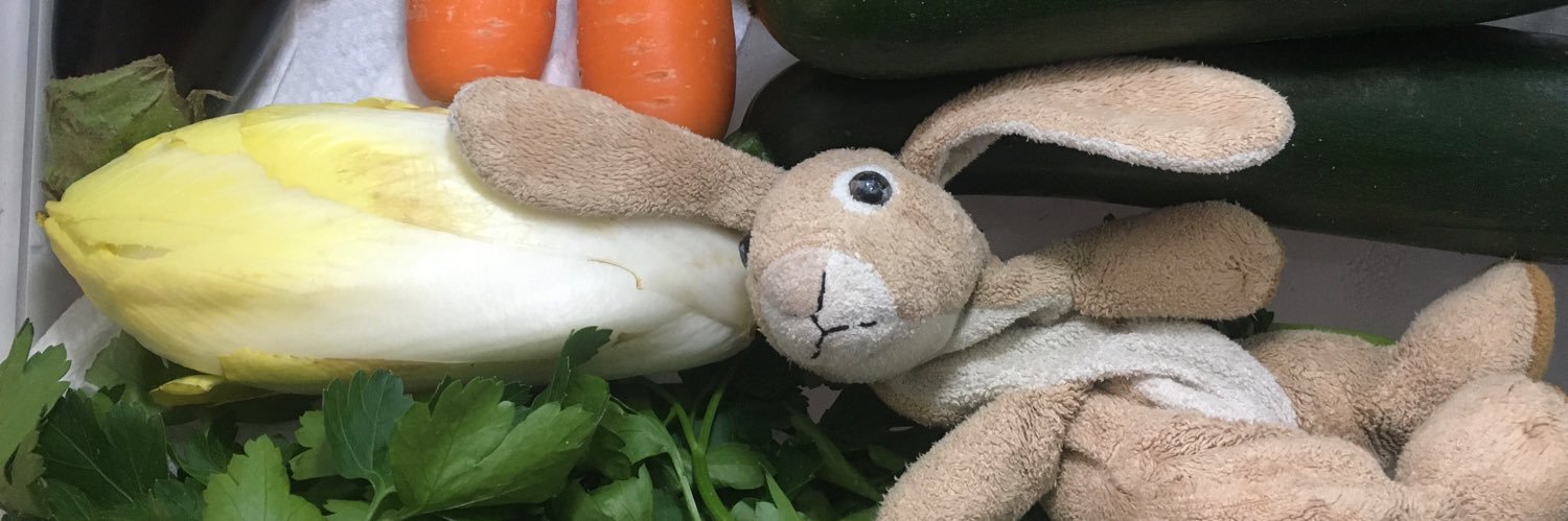 Clochette Lapi 🎗️ banner