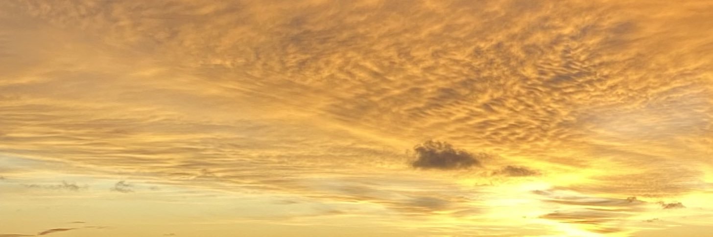firhanelgi's profile banner image