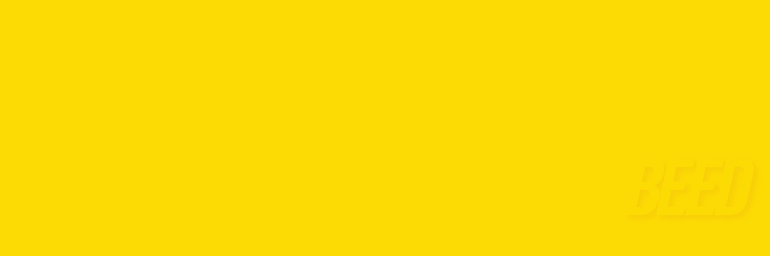 SteBeed's profile banner image
