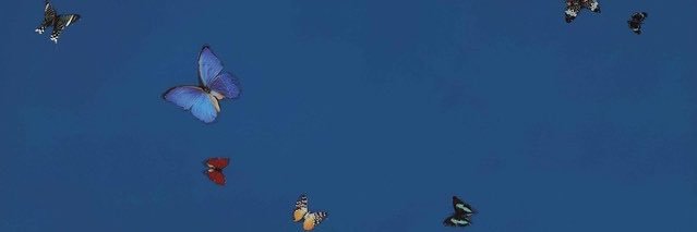 Tuhkneeuh's profile banner image