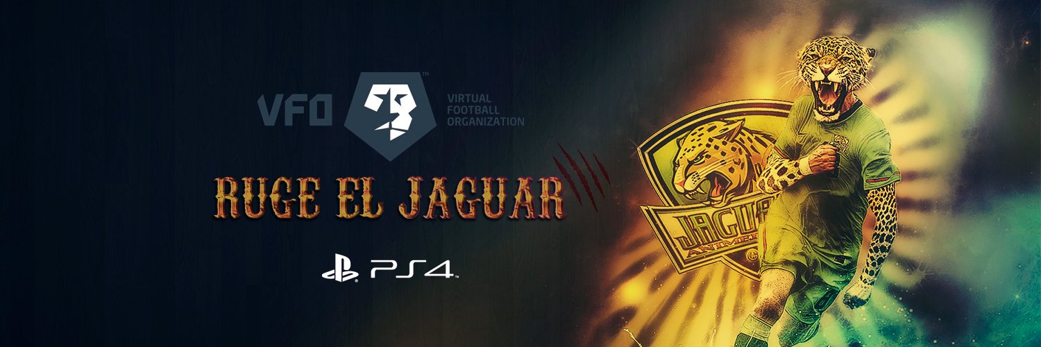 Animersion Jaguars banner
