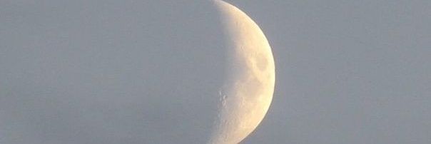 ft. banner