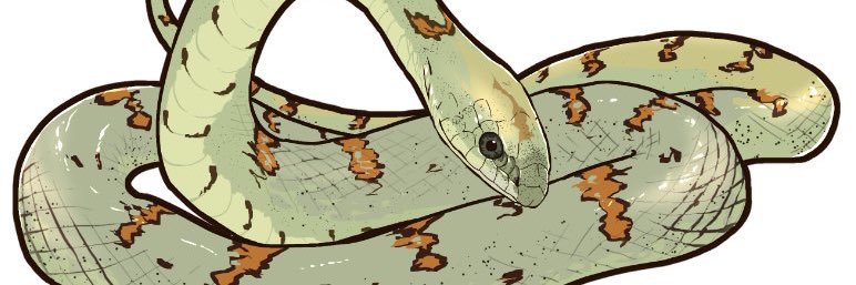 non871tan's profile banner image