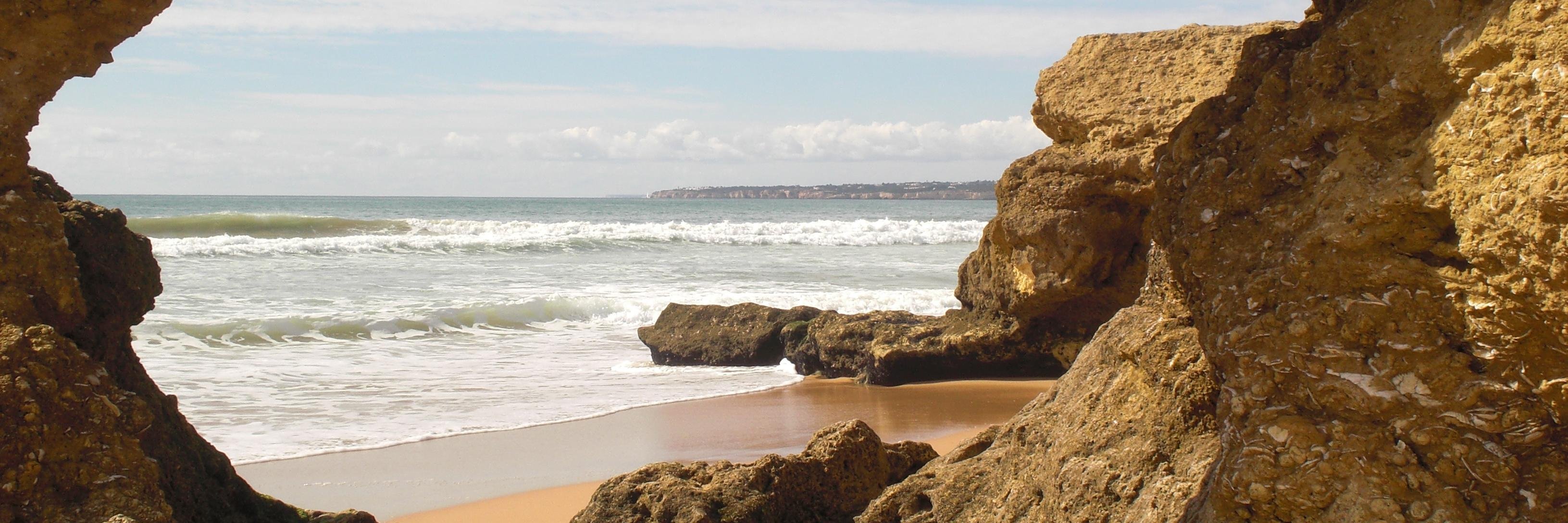 Claire Scothern banner