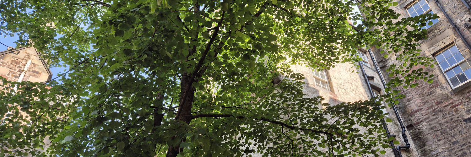 JamesEHennessey's profile banner image