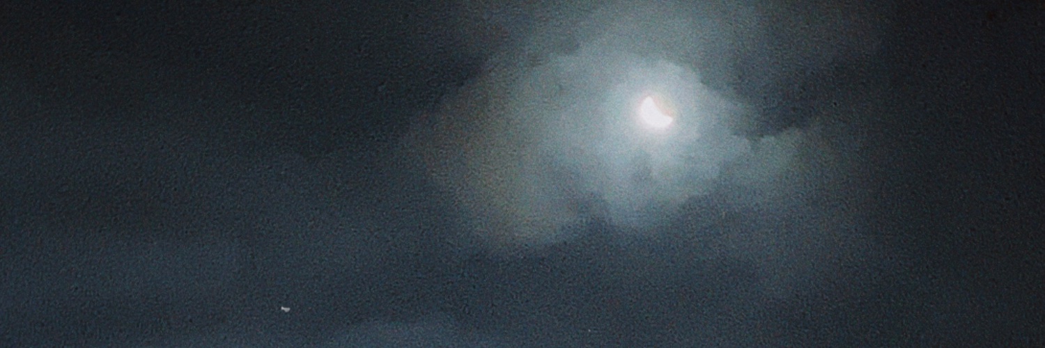 lulu banner