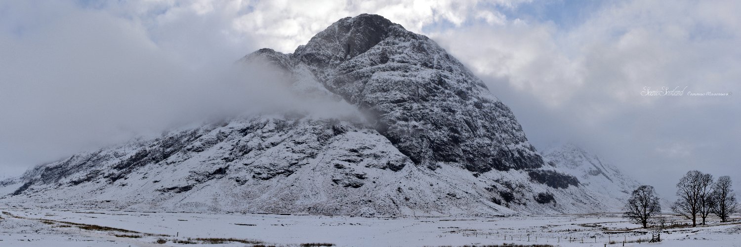 Cameron Morrison. banner