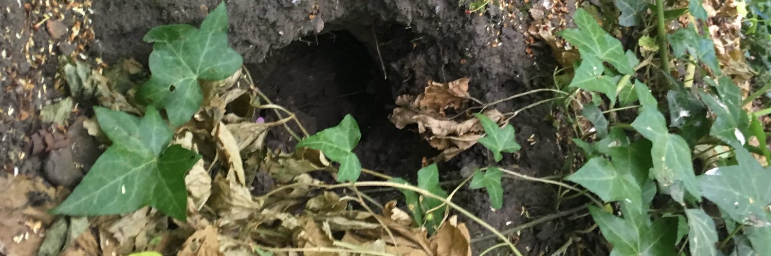 amanda roberts banner