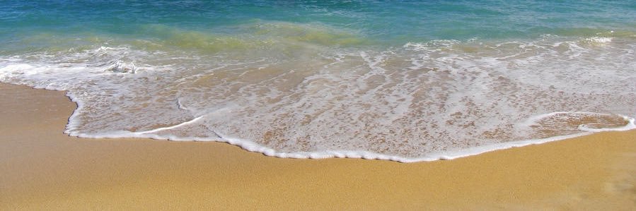 **Altrusitic** banner