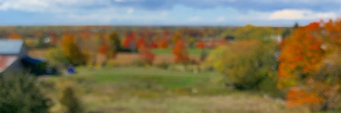 Paul C. | Beer, explained. banner