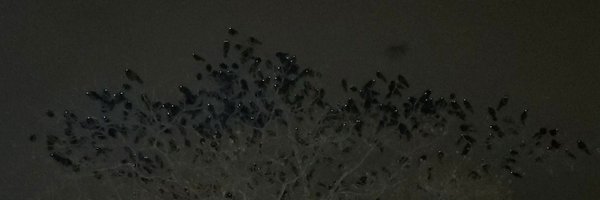 CalmColdQuiet Profile Banner