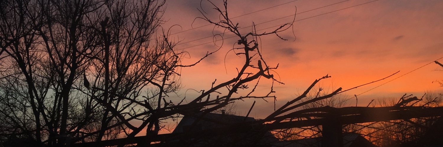 Dill_19's profile banner image