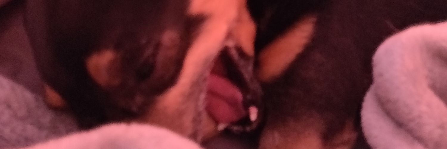 Virgbert West: V-Animator 🧪🔆 banner