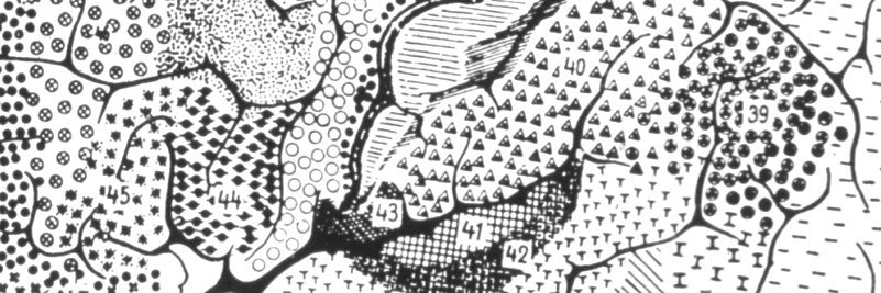 ChatLab - inactive profile banner