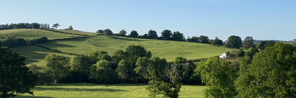 adyeoman Profile Banner