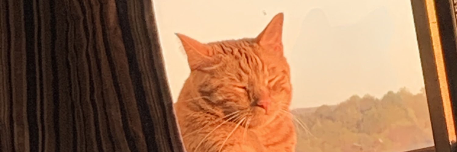 𝔾𝕙𝕠𝕤𝕥 banner