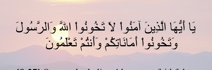 abualshug's profile banner image