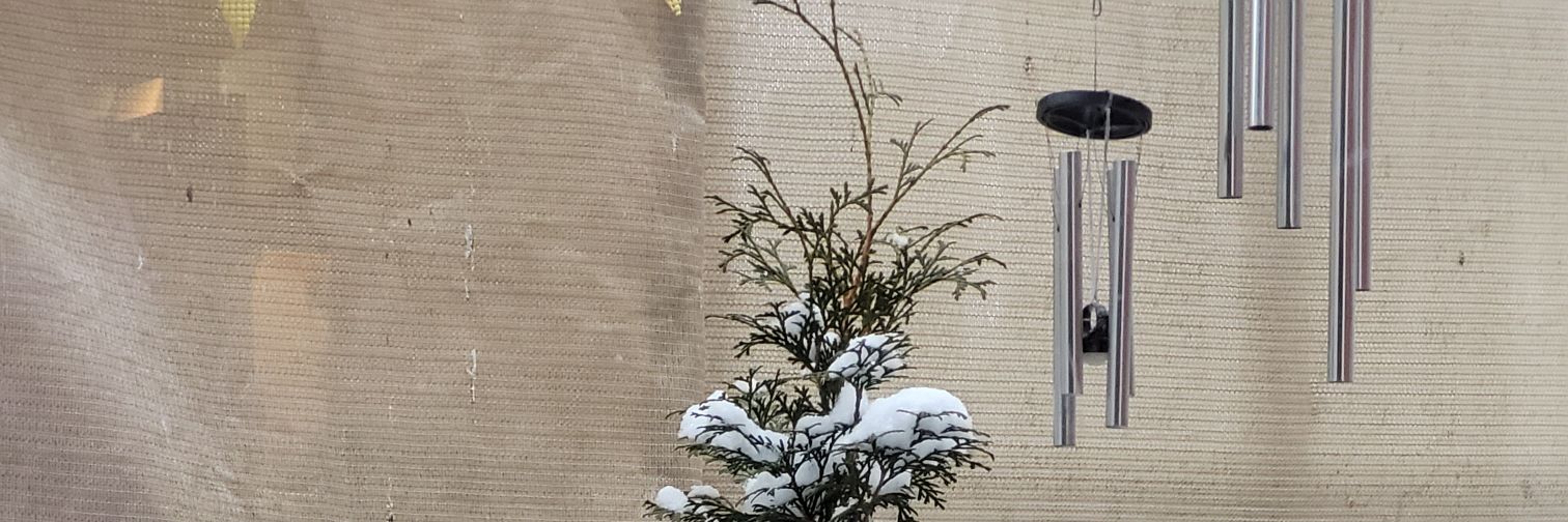 🇨🇦 ๒ęคᴦɭ 🌲🦇🌳🦉🌵🦌⚢ banner