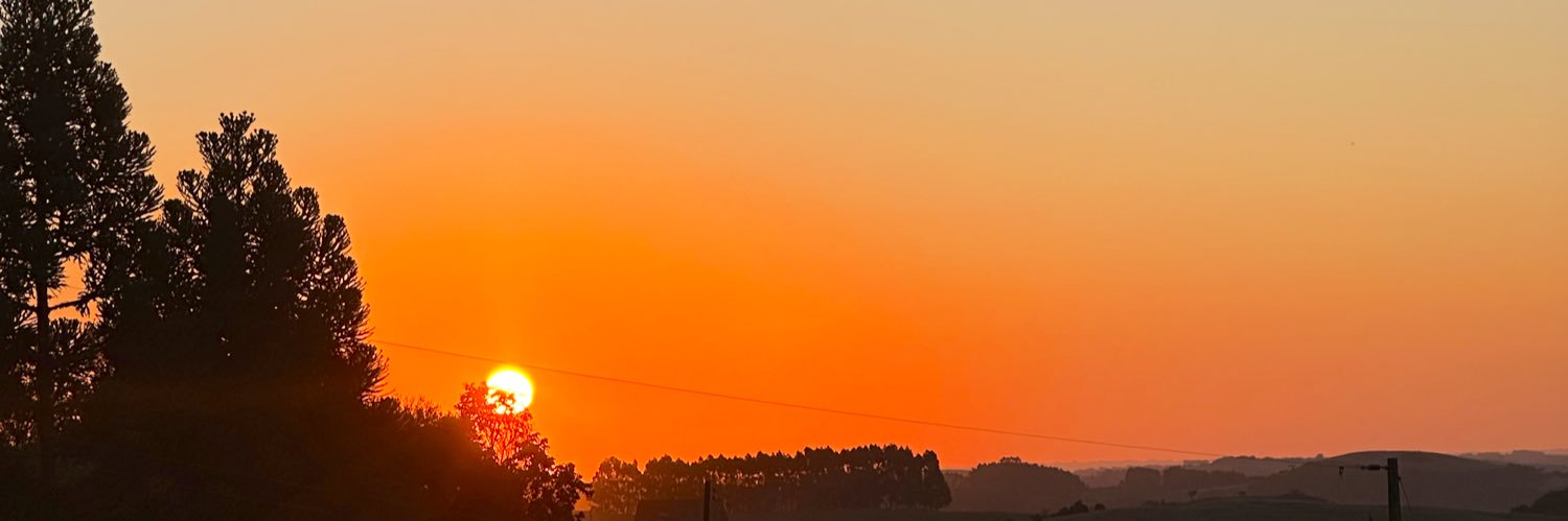 AlineFritsch's profile banner image