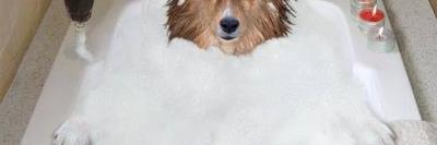 CynthiaHessler1's profile banner image