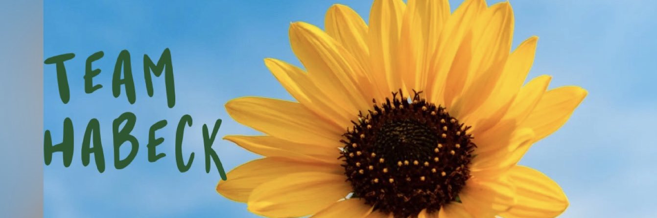 Lilly Hundefee 💚🐶🌻 banner