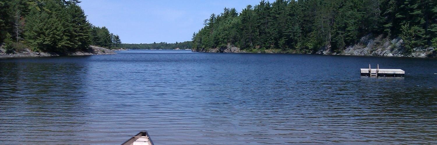 Michael Schwanzer banner