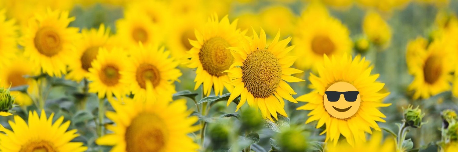 Lowdown Letter Banks banner