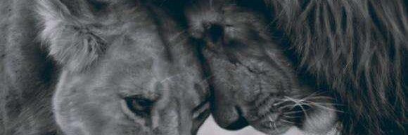 Migue Moreno 10 banner