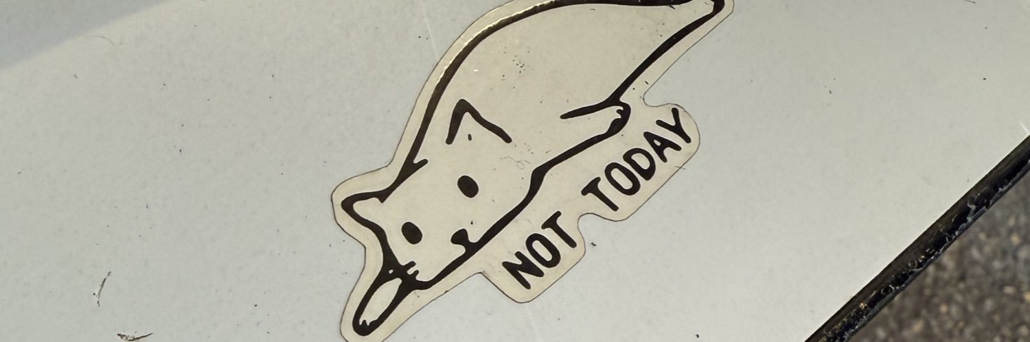 NsTrN banner