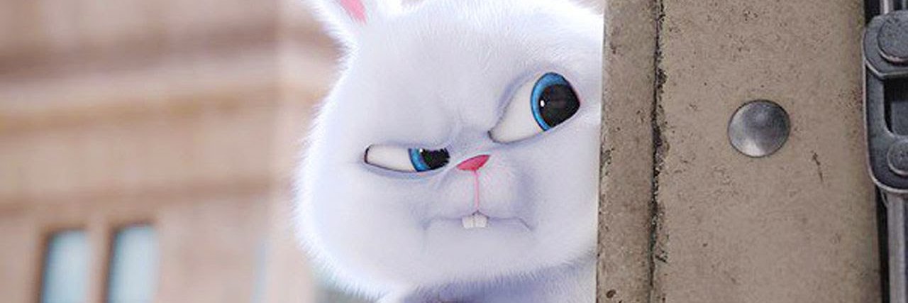 ancherh1's profile banner image