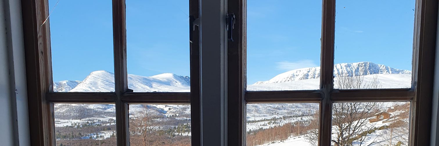 Anne Liinamaa banner