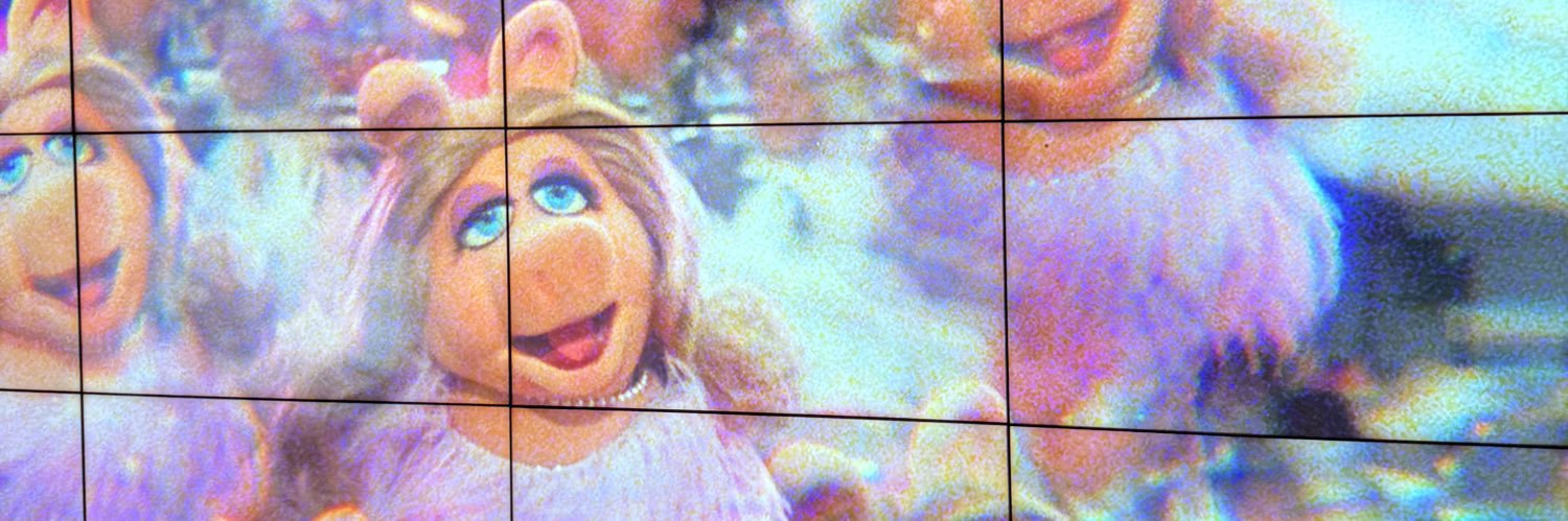 antonia ✌️💕 banner