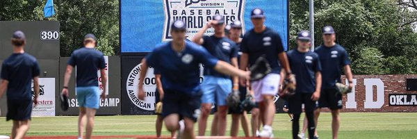 WillHoBaseball Profile Banner