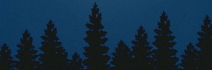 Dormido banner