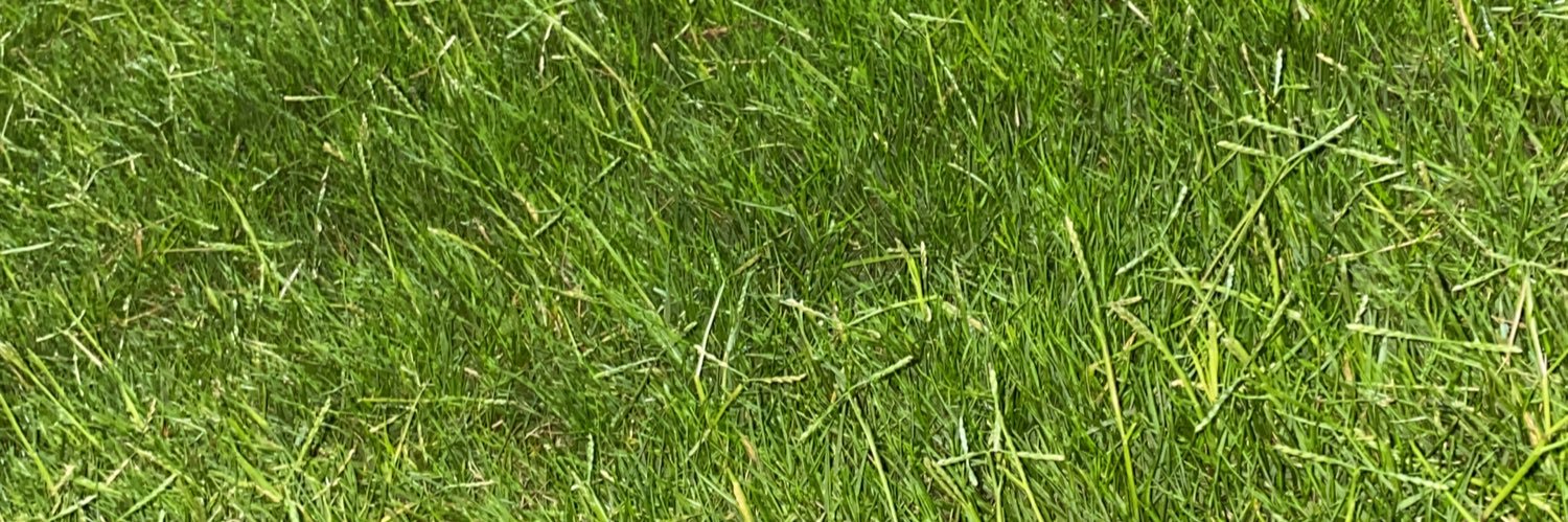 sharoqy's profile banner image