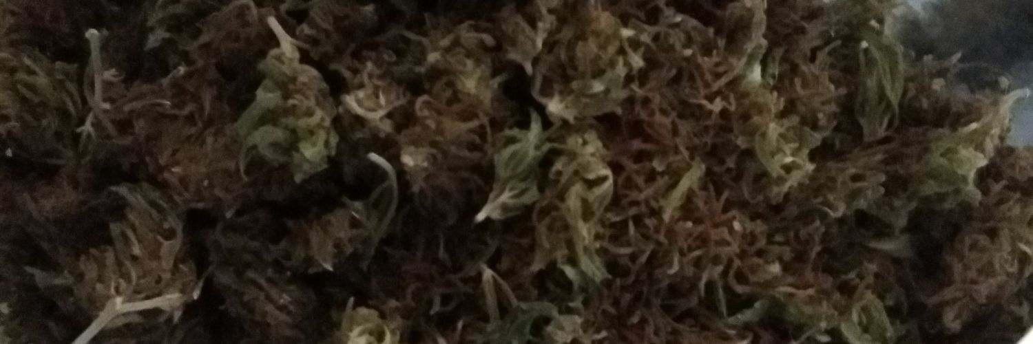 Lil_N1t's profile banner image
