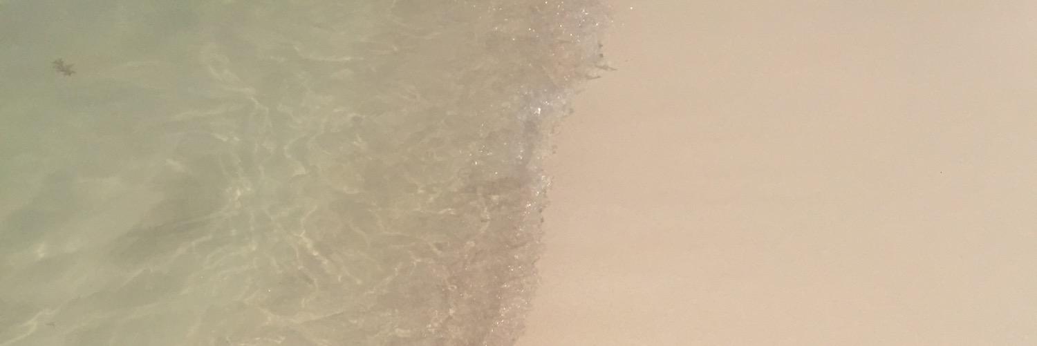 laurahardy94's profile banner image