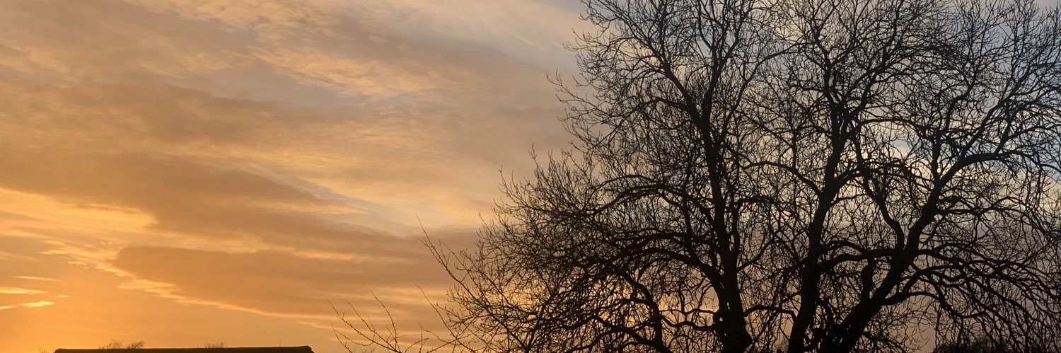 ella woods banner