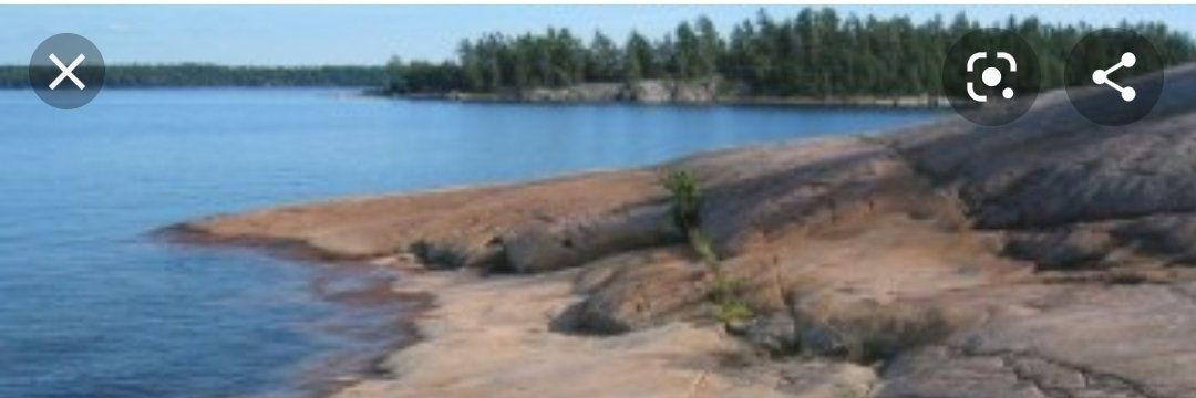 K ChadwickTimms🇨🇦 and Perie🐕 banner