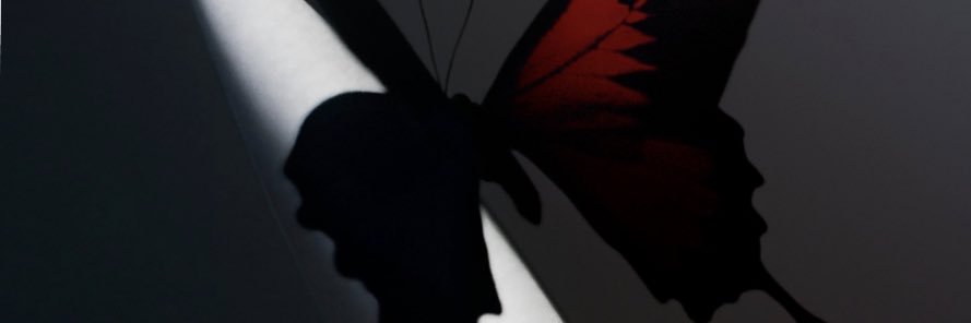 Audrey It’s gonna b a BIG ASS TOUR! 👑🔥 banner