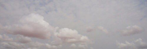 ◡̎ banner